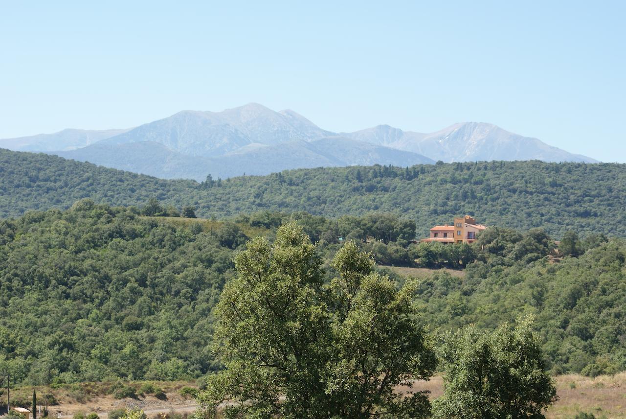 Mas La Marchette Bed and Breakfast Céret Eksteriør billede