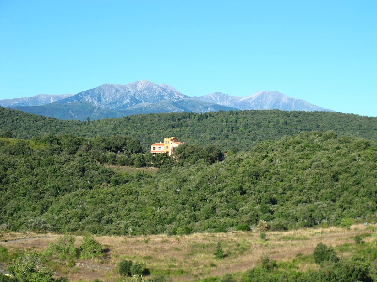 Mas La Marchette Bed and Breakfast Céret Eksteriør billede